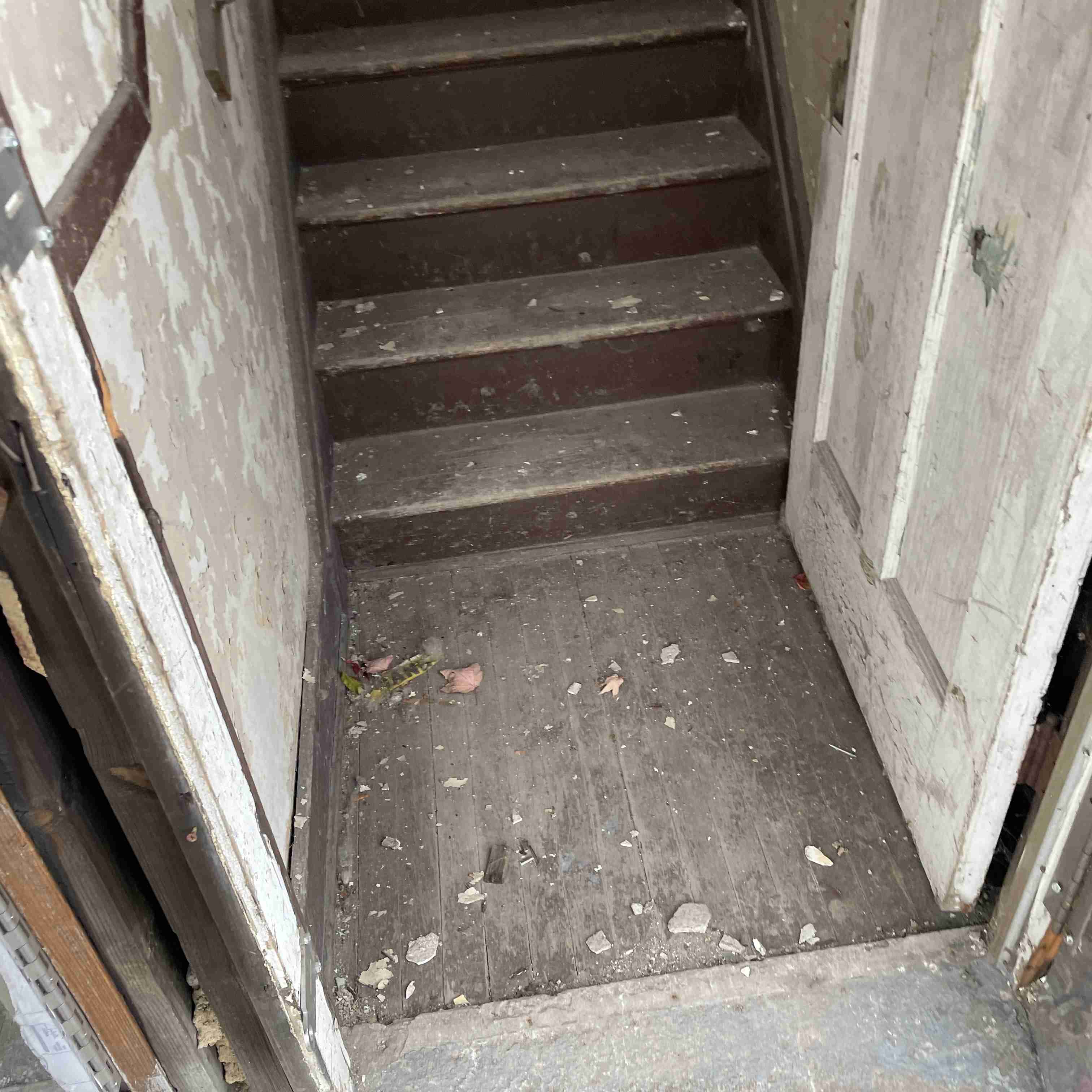 4039 Tuxedo (20).jpg